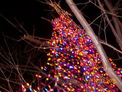 Friday December 11, 2009 19:57 - CHRISTMAS CONCERT AND DRIVE TO SEE LIGHTS 013.jpg